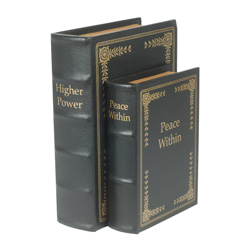 Concealment Books&nbsp;&nbsp;Model#&nbsp;DB2BLK