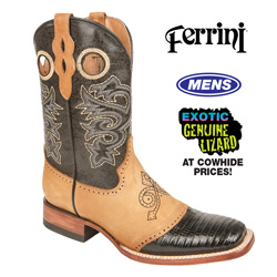 Ferrini Teju Lizard Boots - Black Model# 201193-04