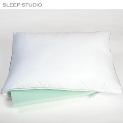 Dual Comfort ViscoFresh Latex/Down Alternative Pillow Model# 2402428