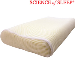 Cool Mesh Memory Foam Pillow Model# SF6255/1