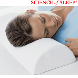 4-in-1 Memory Foam Pillow Model# SF62491