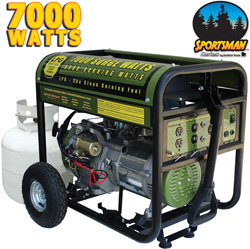 Buffalo Tools 7000 Watt LP Generator Model# H07368L