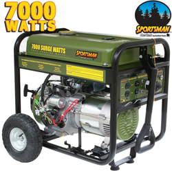 Buffalo Tools 7000 Watt Gas Generator Model# H07136L