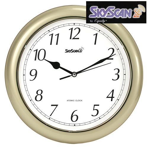 skyscan atomic clock for sale