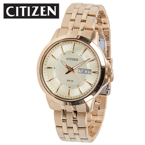 Citizen Gold-Tone Watch