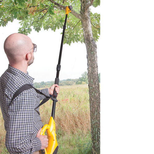 Cordless Pole Saw
