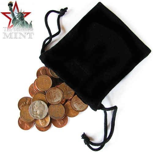 50 Random Coins with Buffalo Nickel
