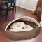 Pet Sanctuary