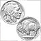 Grab Bag Of 20 Buffalo Nickels