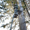 Rivers Edge Onset Tree Stand