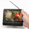 Pegasus 7 inch LCD TV