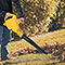 Cordless Leaf Blower