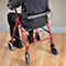 Premium Rolling Walker