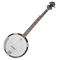 5-String Banjo