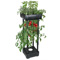 Compact Upside-Down Garden