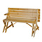 Convertible Picnic Table/Bench