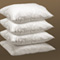 4 Pack Standard Down Pillows
