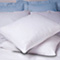 Bedbug Pillow Protectors