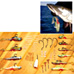 mighty-bite-fishing-lures