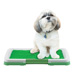 pet-trainer-mat