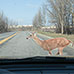 Coby 1080P Dash Cam/DVR
