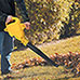 Cordless Leaf Blower