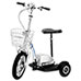 Zappy Pro 350 Watt Scooter