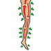 Leg-O-Sage Gold
