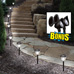 8-piece-solar-light-set-with-2-spotlights