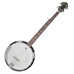 5-string-banjo