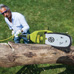 Saw Joe Pole Saw