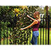 Expandable Ivy Fence