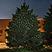 Outdoor Laser Light Projector