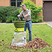 Sun Joe Shredder Joe Leaf Mulcher/Shredder